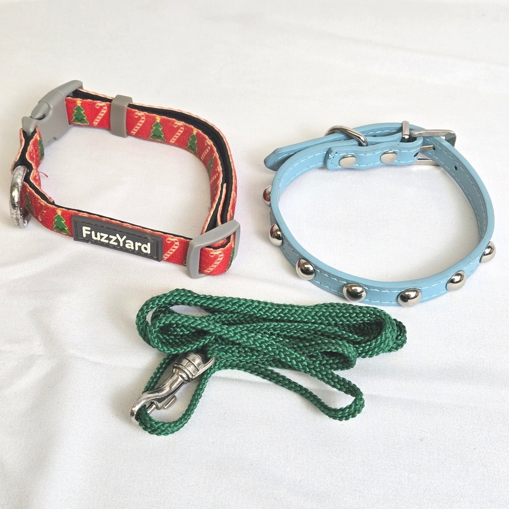 Small Dog Accessories, 2 Collars, 1 Leash, Red Green Blue‎